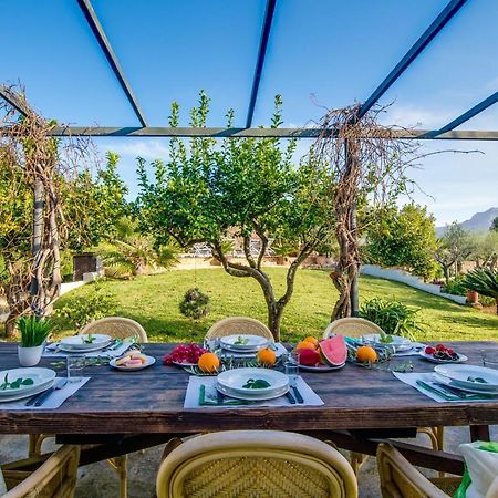 Ideal Property Mallorca - Sa Vinya Vella Алькудия Экстерьер фото